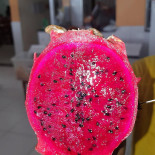 Parada Frinhani Boisson