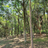 Pasargada Rural Exterior