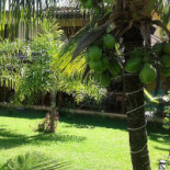 Pequeno Jardim outside