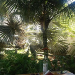 Pequeno Jardim outside