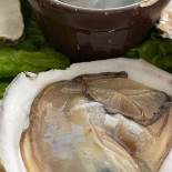 Nossa Casa E Frutos Do Mar Comida