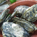 Do Buda Frutos Do Mar Nourriture