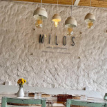 Milos Boisson