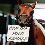 Rancho Jr Chacrinha Boisson