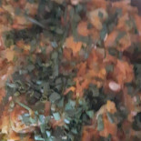 Pesqueiro Serrinha Nourriture