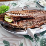 Cia Palato Comida