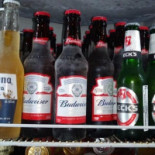 Do Nelson Boisson