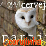 Corujinha Boisson