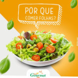 Real Gourmet Comida