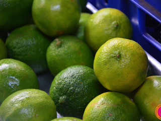 Sabor Brasil