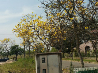 Zero Grau