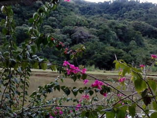 Pesqueiro Do Goiano