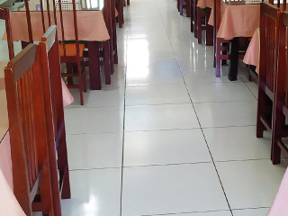 Orquídea