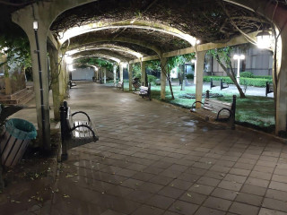 Praca Xv