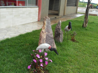 Pedra Branca