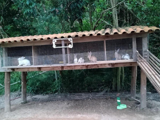 Rancho Do HolandÊs