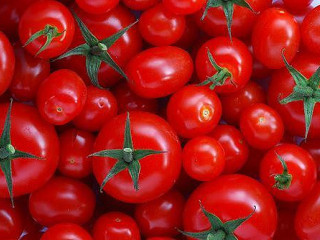 Tomate Seco Vegetariano