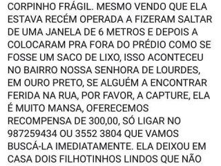 E Pizzaria O Sótão