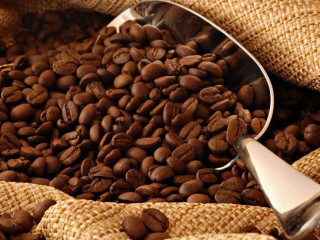 Senhor Café Cafés Especiais Blumenau Sc