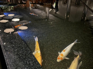 Xian Rio