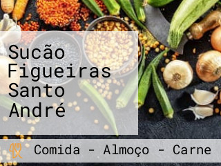 Sucão Figueiras Santo André