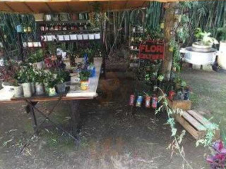 Taipas Branca Pousada E