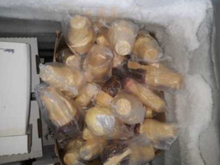 Sorveteria Pingo Frio