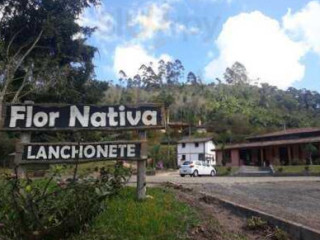 Flor Nativa