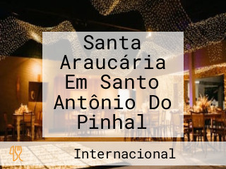 Santa Araucária Em Santo Antônio Do Pinhal
