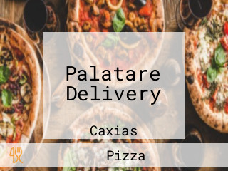 Palatare Delivery