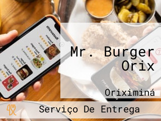 Mr. Burger Orix