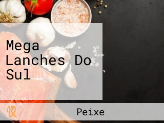 Mega Lanches Do Sul