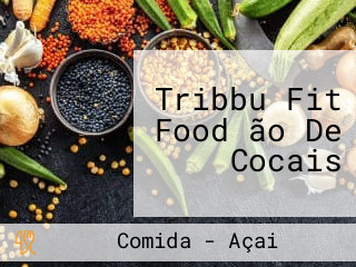 Tribbu Fit Food ão De Cocais