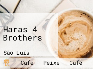 Haras 4 Brothers