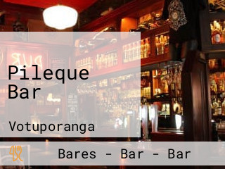 Pileque Bar