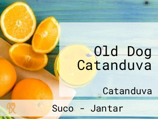 Old Dog Catanduva