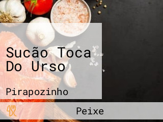 Sucão Toca Do Urso