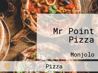 Mr Point Pizza