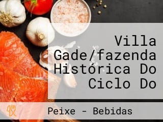 Villa Gade/fazenda Histórica Do Ciclo Do Café Brasileiro, Hospedagem, Cultura E