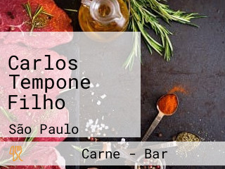 Carlos Tempone Filho