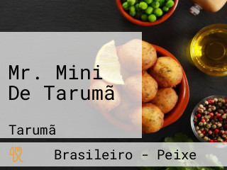 Mr. Mini De Tarumã