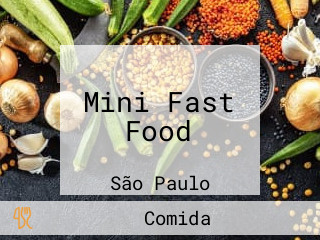 Mini Fast Food