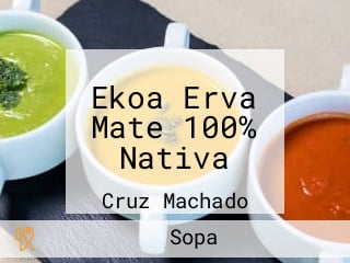 Ekoa Erva Mate 100% Nativa