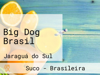 Big Dog Brasil