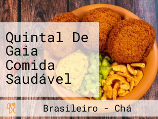 Quintal De Gaia Comida Saudável