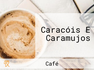 Caracóis E Caramujos