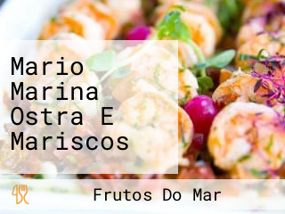 Mario Marina Ostra E Mariscos