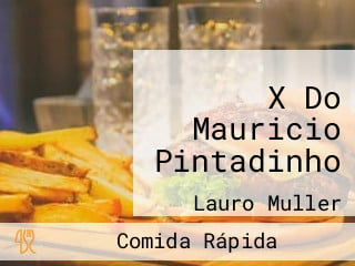 X Do Mauricio Pintadinho