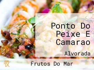 Ponto Do Peixe E Camarao