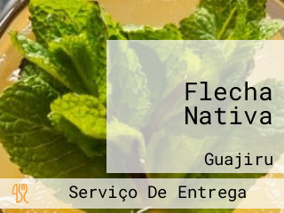 Flecha Nativa